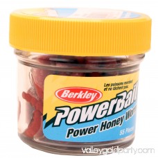 Berkley PowerBait Power Honey Worms 553145268